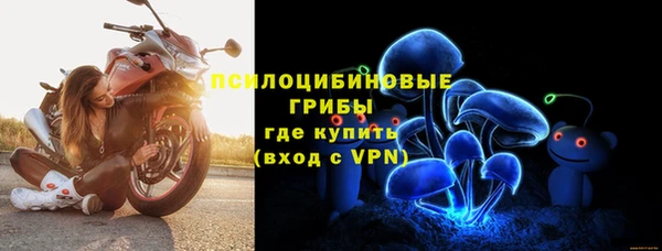 альфа пвп Гусиноозёрск