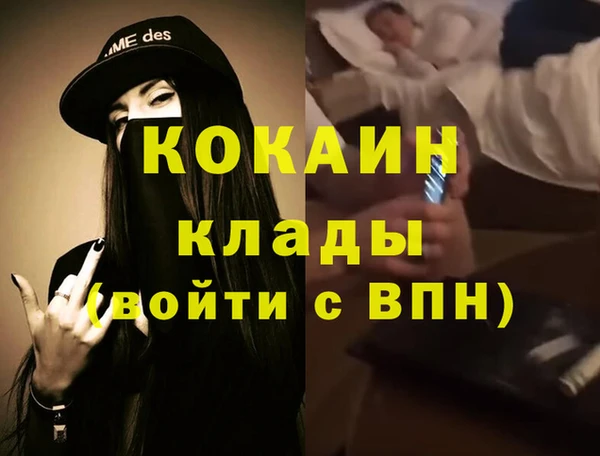 ALPHA PVP Гусев