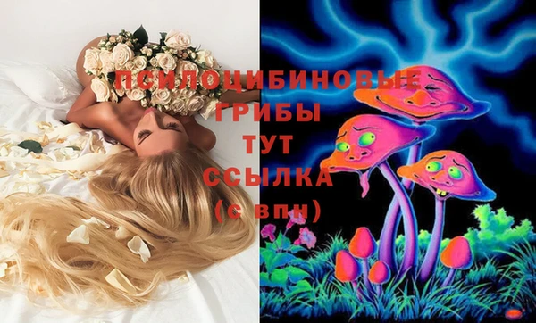 кокаин Дмитриев