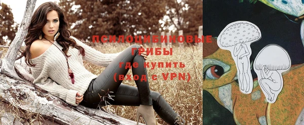 кокаин Дмитриев