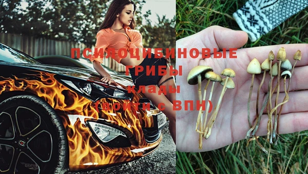 экстази Дмитров